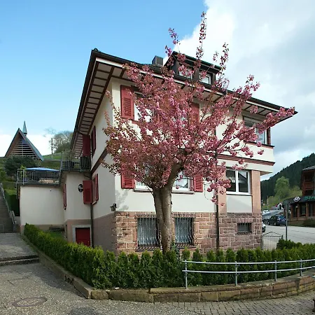 Apartment Ferienwohnung Kirchblick Bad Peterstal-Griesbach